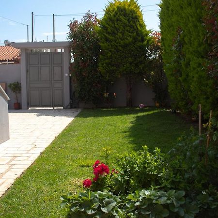 Elias Studio - Near To The Port Of Rafina And The Airport Of Athens Agios Spyridon  Ngoại thất bức ảnh